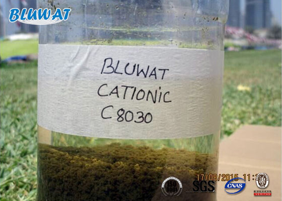 Beli Biological Flocculant Cationic Polyacrylamide Sludge Dewatering Treatment pembuatan online