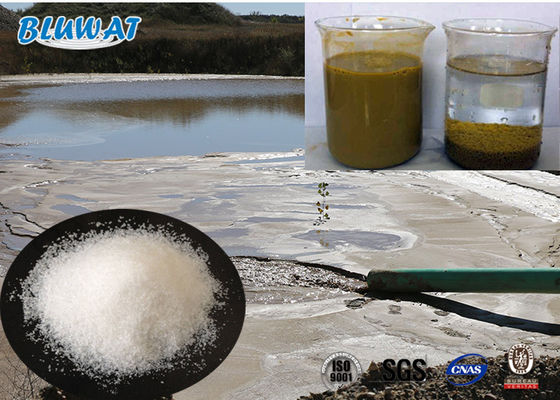 Beli Copper Mining Flocculant Medium Molecular Weight Anionic Polyacrylamide pembuatan online