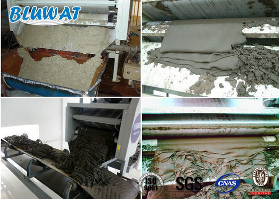 Beli Sludge Dewatering Kationik Poliakrilamida CPAM Blufloc SGS BV Bersertifikat pembuatan online