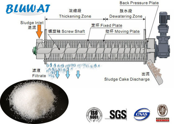 Beli Sludge Dewatering Polimer Blufloc Cationic Polyelectrolyte Flocculants CPAM pembuatan online