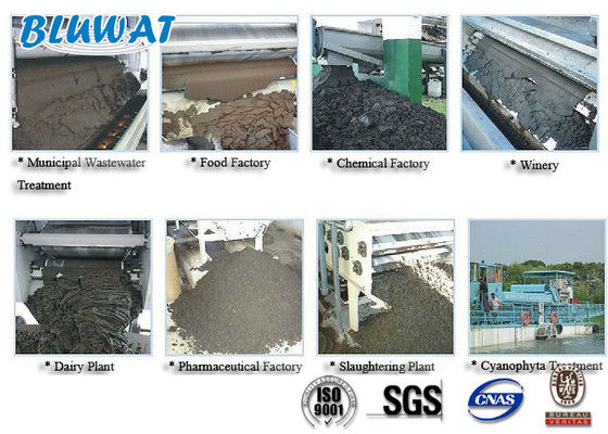 Beli Poliakrilamida Kationik Bubuk Putih untuk Pengeringan Lumpur pembuatan online