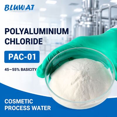 membeli PAC-01 Powder Putih Polyaluminium Chloride dengan 45-55% Basicity dalam 25kg Bags untuk Perawatan Air Kosmetik pembuatan online