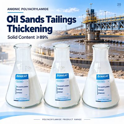 membeli Anionic Polyacrylamide APAM 20-100 Mesh 89% Min Solid for Oil Sands Tailings Thickening CAS 9003-05-8 ISO 9001 Manufacturer 750kg Net Big Bag pembuatan online