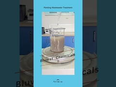 Bagaimana cara mengobati Painting Wastewater?